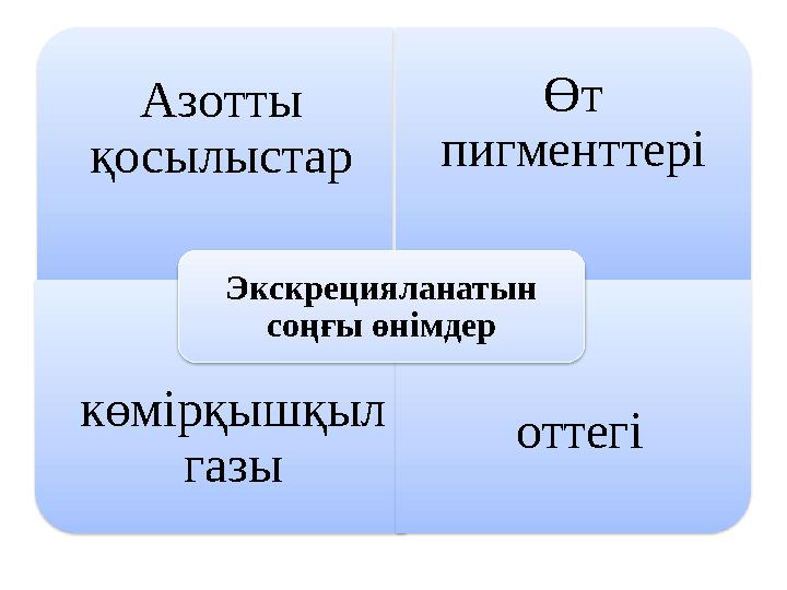 Азотты қосылыстар Өт пигменттері көмірқышқыл газы оттегі Экскрецияланатын соңғы өнімдер