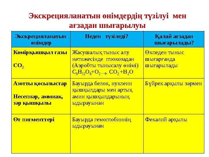 Экскрецияланатын өнімдердің түзілуі мен ағзадан шығарылуы Экскрецияланатын өнімдер Неден түзіледі? Қалай ағзадан шығарылад