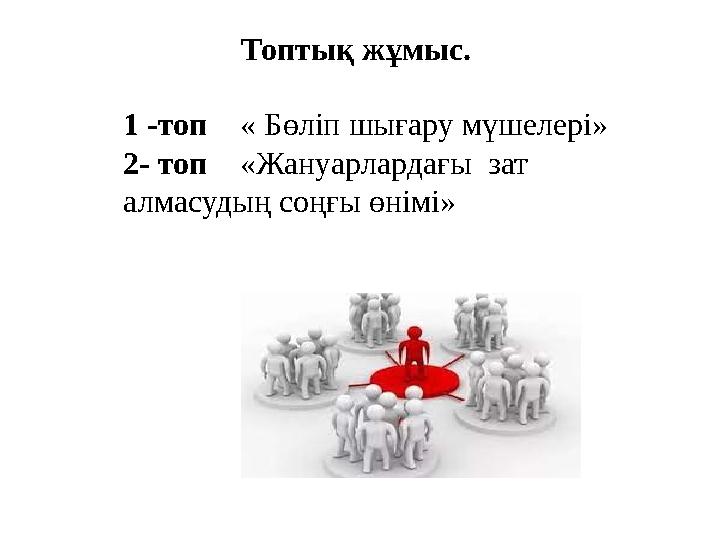 Топтық жұмыс. 1 -топ « Бөліп шығару мүшелері» 2- топ «Жануарлардағы зат алмасудың соңғы өнімі»