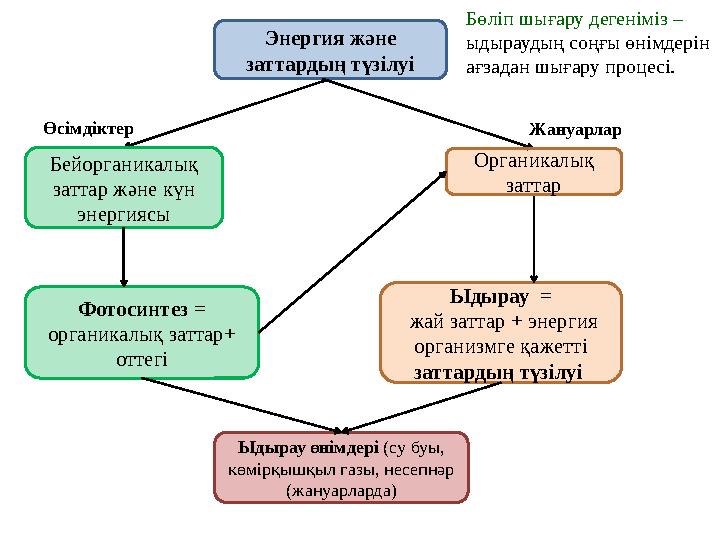 Бөліп шығару дегеніміз – ыдыраудың соңғы өнімдерін ағзадан шығару процесі. Өсімдіктер Жануарлар Энергия және заттардың түзіл