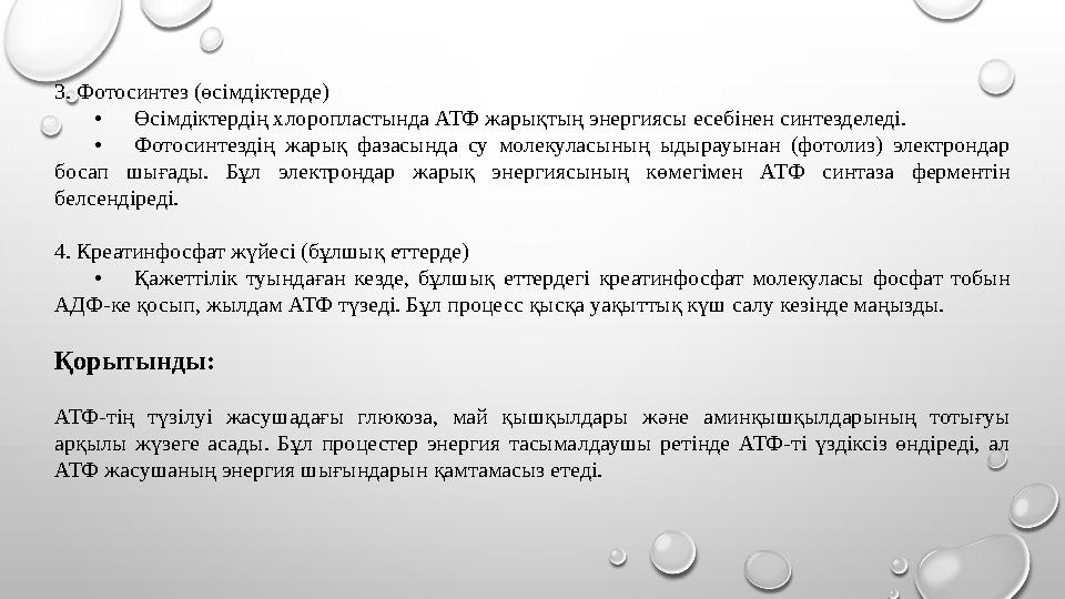 3. Фотосинтез (өсімдіктерде) •Өсімдіктердің хлоропластында АТФ жарықтың энергиясы есебінен синтезделеді. •Фотосинтездің жарық фа