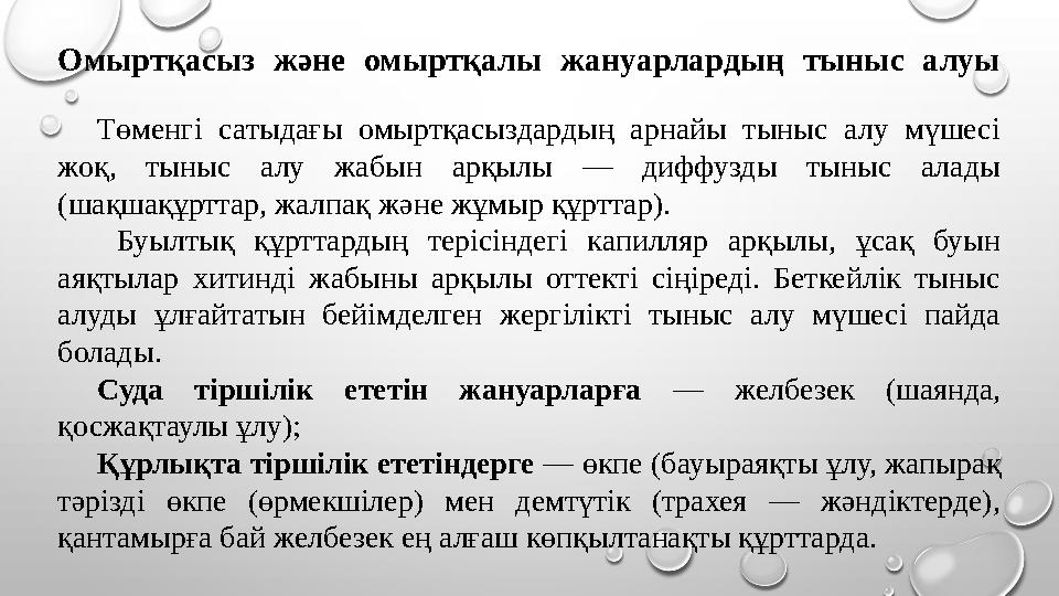 Омыртқасыз және омыртқалы жануарлардың тыныс алуы Төменгі сатыдағы омыртқасыздардың арнайы тыныс алу мүшесі жоқ, тыныс алу жабы
