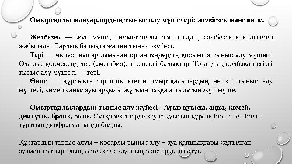Омыртқалы жануарлардың тыныс алу мүшелері: желбезек және өкпе. Желбезек — жұп мүше, симметриялы орналасады, желбезек қақпағымен