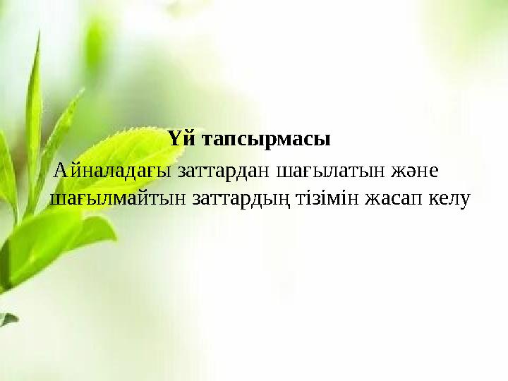Үй тапсырмасы Айналадағы заттардан шағылатын және шағылмайтын заттардың тізімін жа