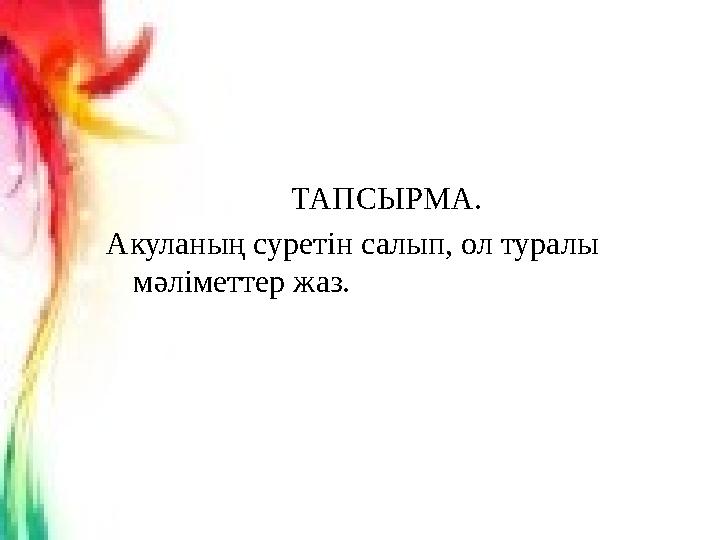 ТАПСЫРМА. Акуланың суретін салып, ол туралы мәліметтер жаз.