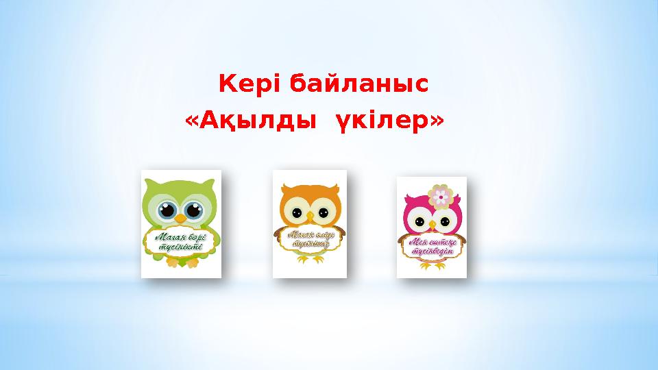 Кері байланыс «Ақылды үкілер»