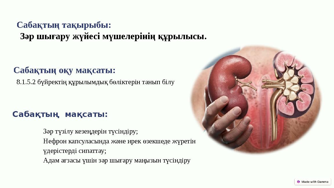 Үлкен сиськи бар порно