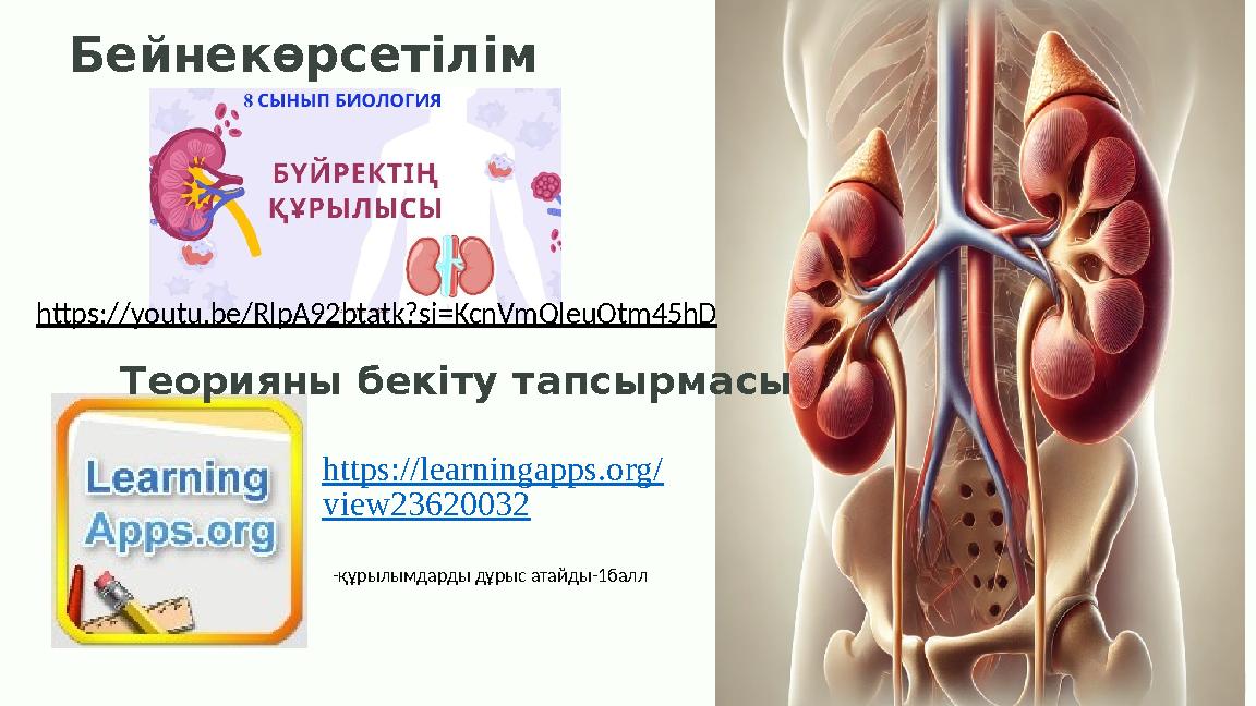 Бейнекөрсетілім https://youtu.be/RlpA92btatk?si=KcnVmQleuOtm45hD https://learningapps.org/ view23620032 Теорияны бекіту тапсырм