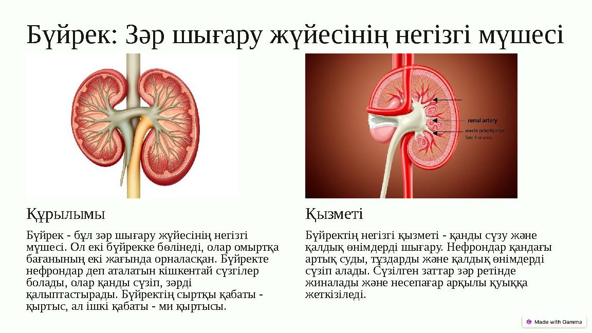 Олия секс Пойыздардағы мас порно