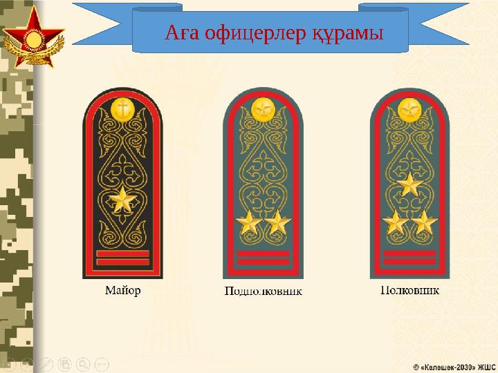 Аға офицерлер құрамы