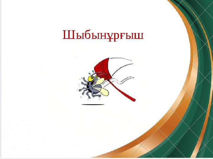 Шыбынұрғыш