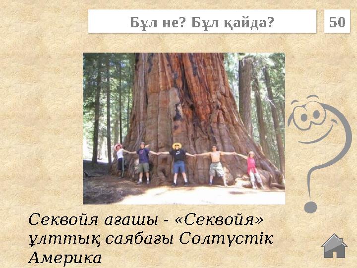 Секвойя ағашы - «Секвойя» ұлттық саябағы Солтүстік Америка Бұл не? Бұл қайда? 50 Секвойя ағашы - «Секвойя» ұлттық саябағы Солтүстік Америка Бұл не? Бұл қайда? 50
