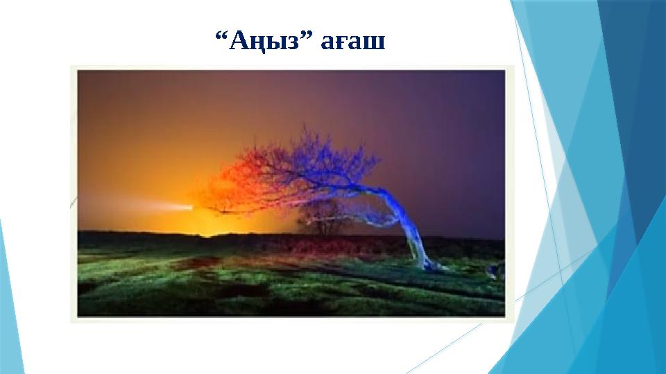 “Аңыз” ағаш