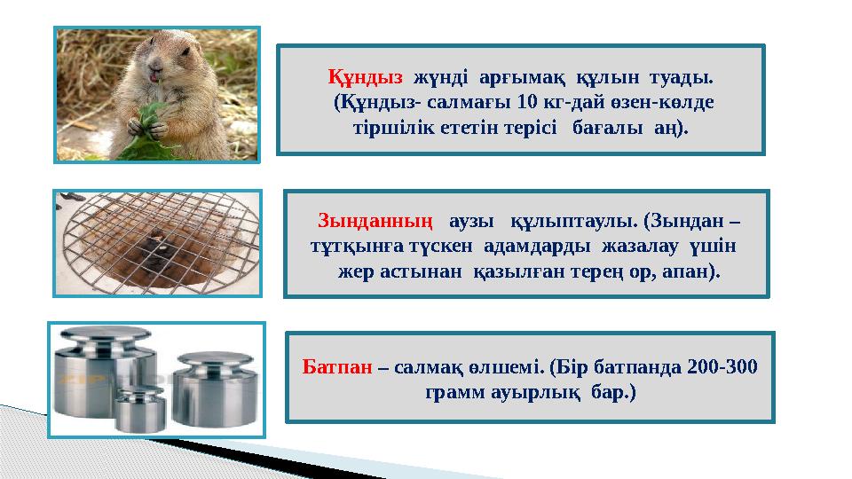 Құндыз жүнді арғымақ құлын туады. (Құндыз- салмағы 10 кг-дай өзен-көлде тіршілік ететін терісі бағалы аң). Зынданн