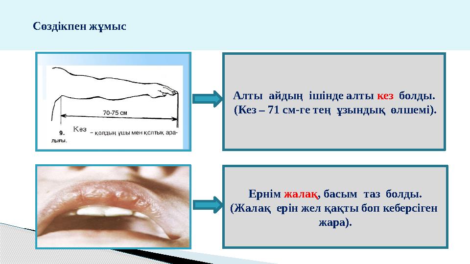 Сөздікпен жұмыс Алты айдың ішінде алты кез болды. (Кез – 71 см-ге тең ұзындық өлшемі). Ернім жалақ, басым та