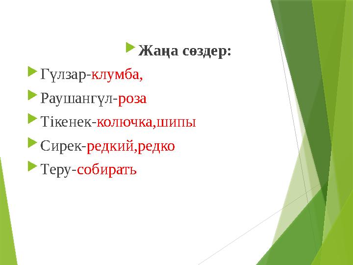 Жаңа сөздер: Гүлзар-клумба, Раушангүл-роза Тікенек-колючка,шипы Сирек-редкий,редко Теру-собирать