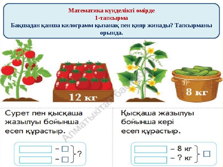 Математика күнделікті өмірде 1-тапсырма Бақшадан қанша килограмм қызанақ пен қияр жинады? Тапсырманы орында.