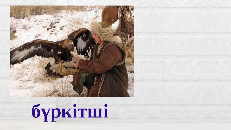 бүркітші
