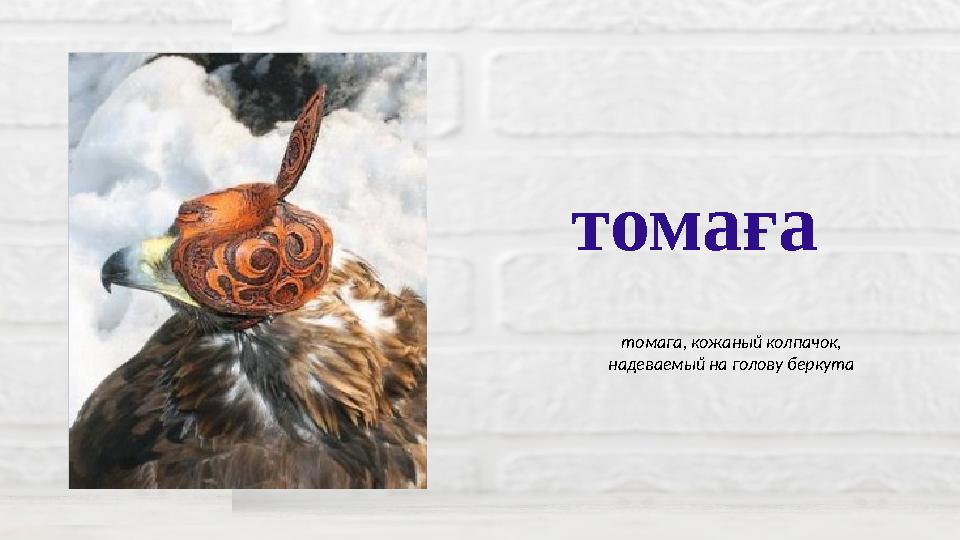 томаға томага, кожаный колпачок, надеваемый на голову беркута