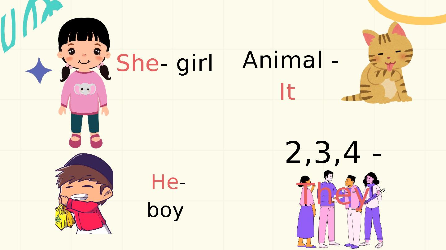 She- girl He- boy Animal - It 2,3,4 - They