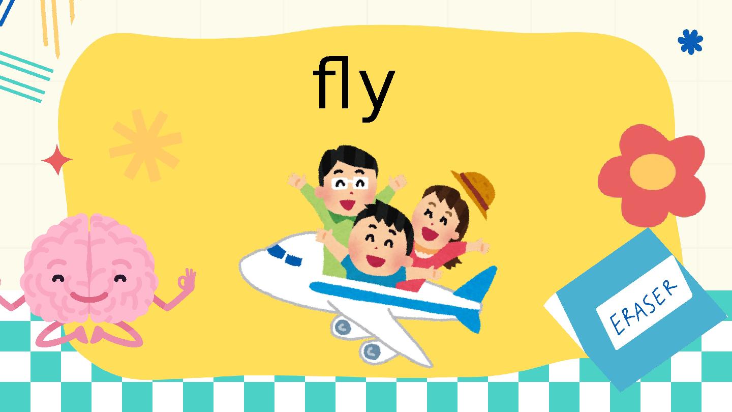 fly