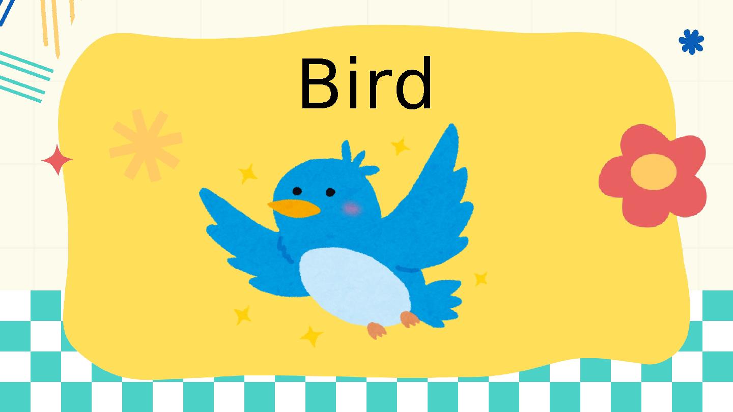 Bird
