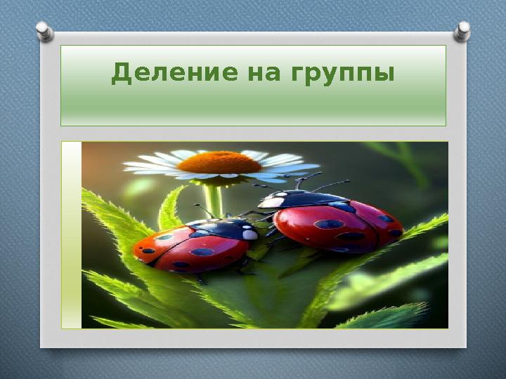 Деление на группы