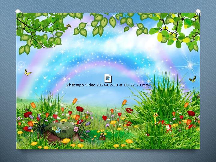 WhatsApp Video 2024-02-18 at 00.22.20.mp4