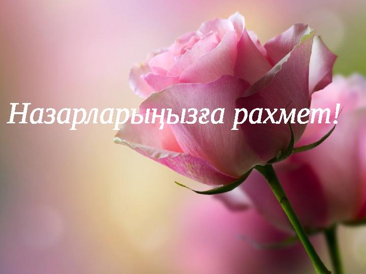 Назарларыңызға рахмет!