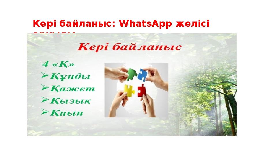 Кері байланыс: WhatsApp желісі арқылы