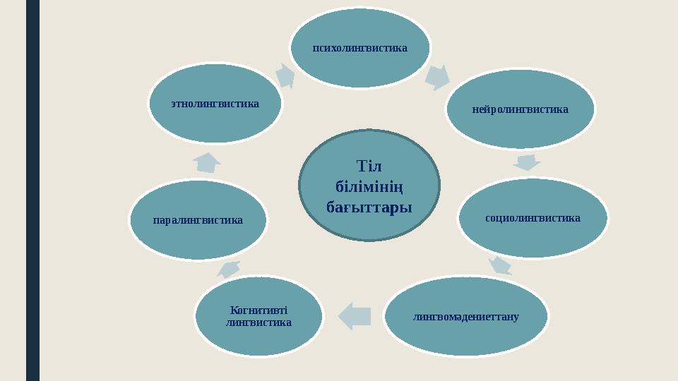 психолингвистика нейролингвистика социолингвистика лингвомәдениеттану Когнитивті лингвистика паралингвистика этнолингвистика Ті
