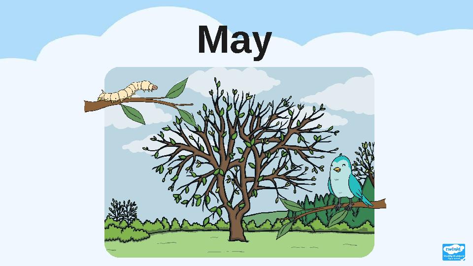May May
