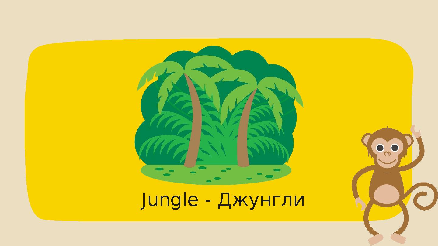 Jungle - Джунгли Jungle - Джунгли