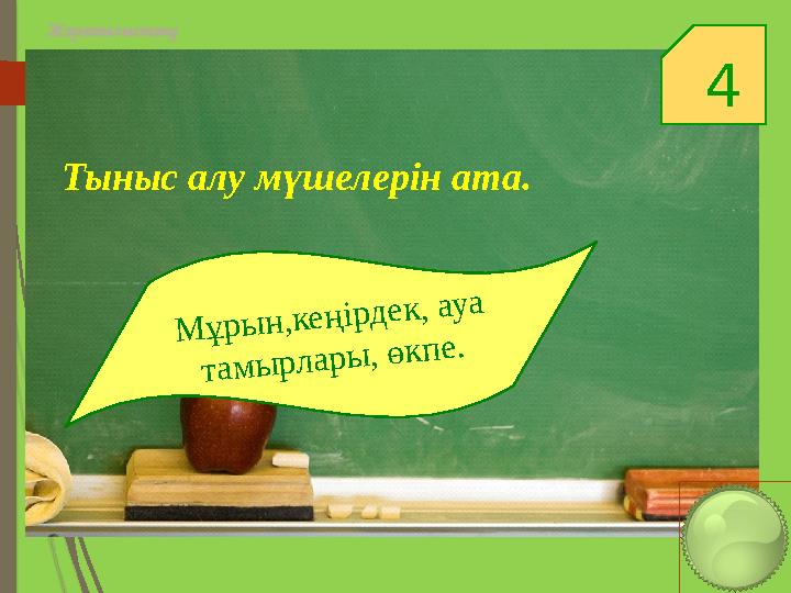 4 Жаратылыстану Тыныс алу мүшелерін ата. Мұрын,кеңірдек, ауа тамырлары, өкпе.