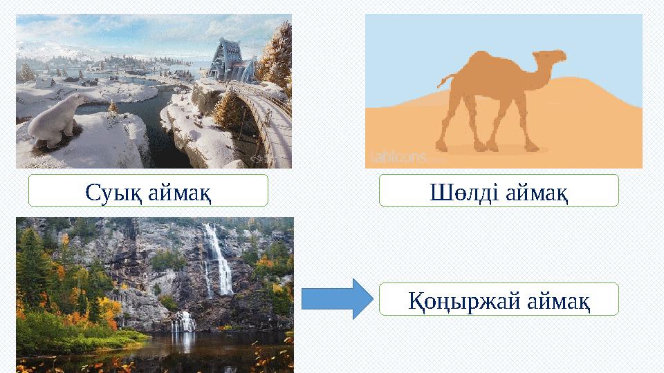 Суық аймақ Шөлді аймақ Қоңыржай аймақ