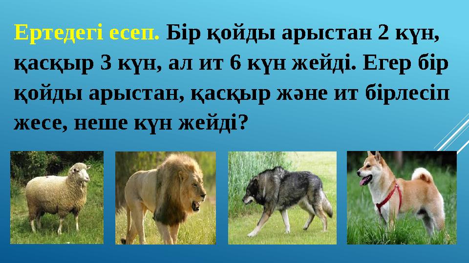 Ертедегі есеп. Бір қойды арыстан 2 күн, қасқыр 3 күн, ал ит 6 күн жейді. Егер бір қойды арыстан, қасқыр және ит бірлесіп же