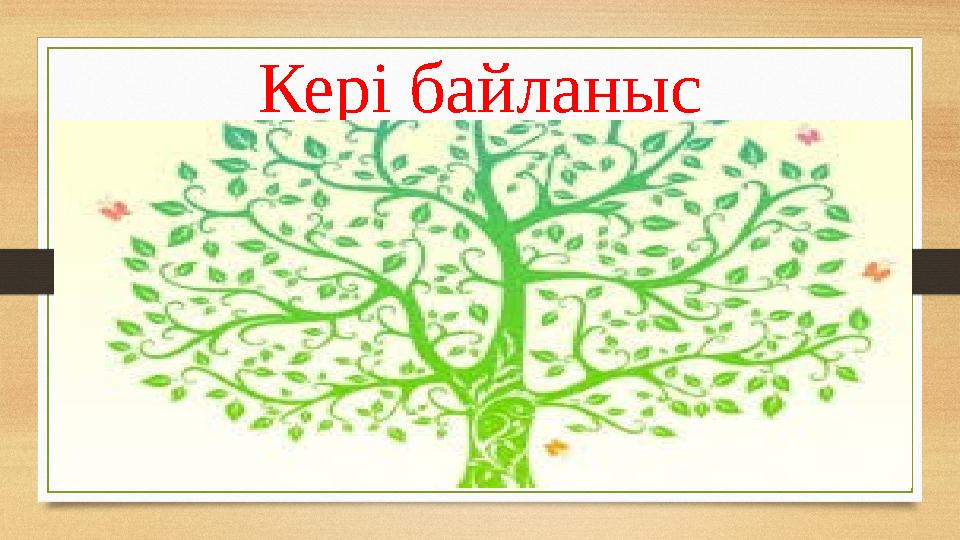 Кері байланыс