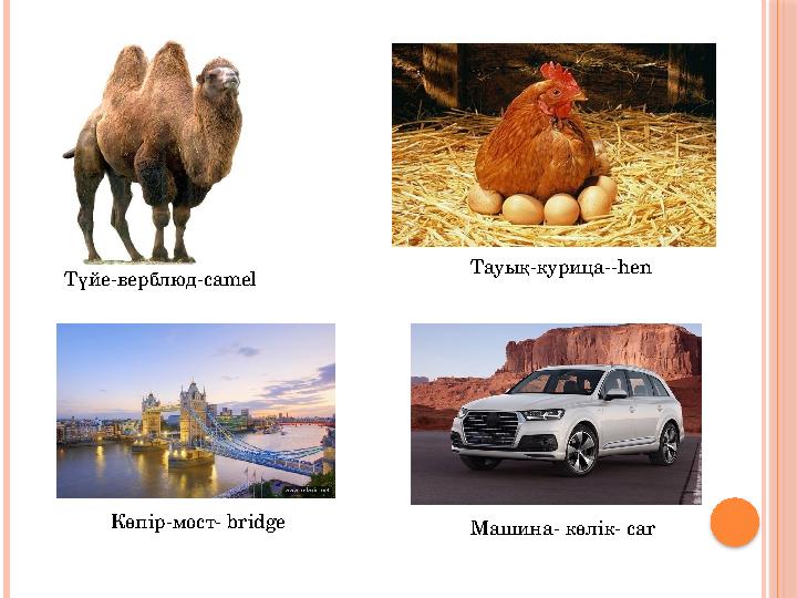 Түйе-верблюд-camel Тауық-курица--hen Көпір-мост- bridge Машина- көлік- car
