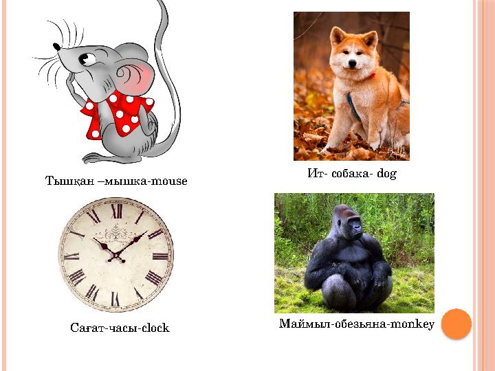 Тышқан –мышка-mouse Ит- собака- dog Сағат-часы-clock Маймыл-обезьяна-monkey