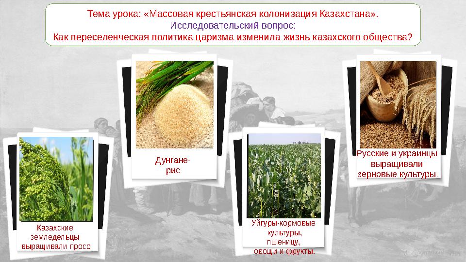 Тема урока: «Массовая крестьянская колонизация Казахстана». Исследовательский вопрос: Как переселенческая политика царизма измен
