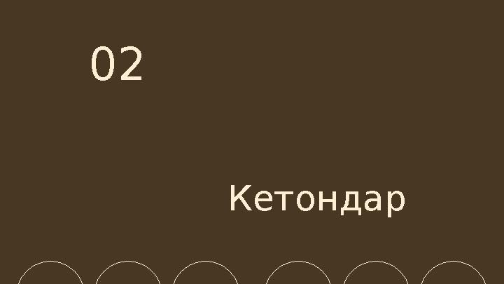 Кетондар 02