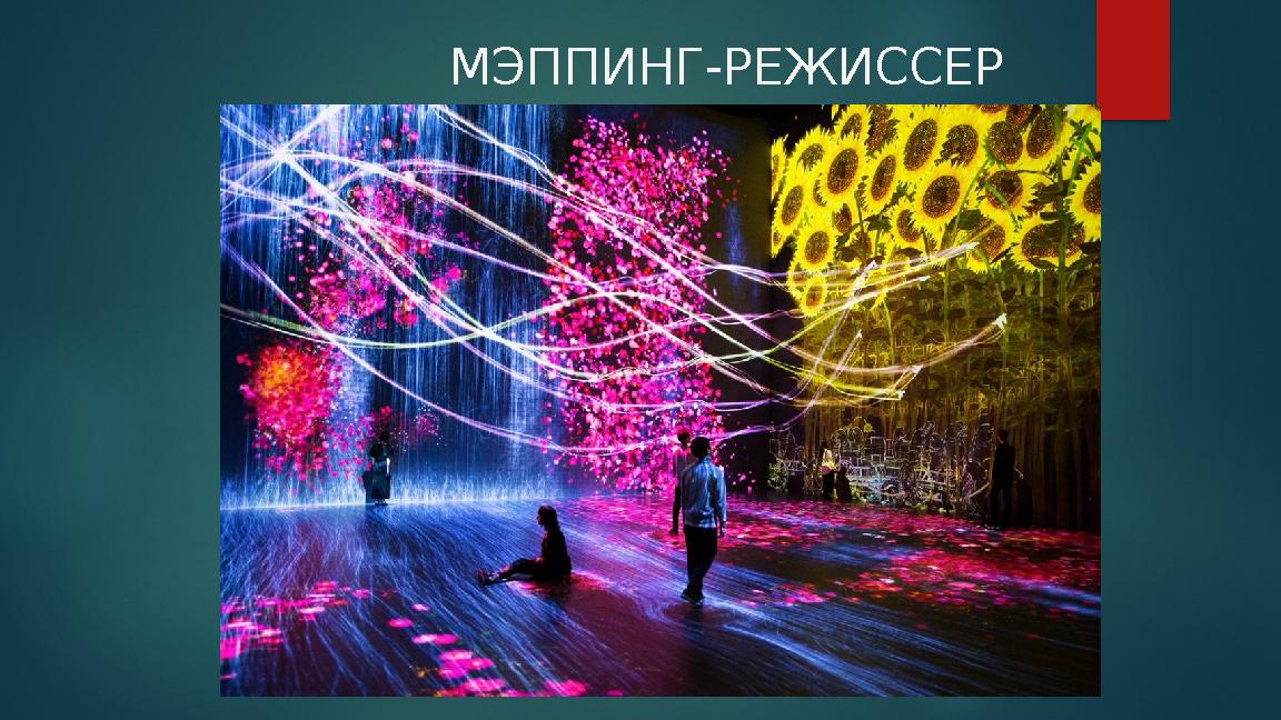 МЭППИНГ-РЕЖИССЕР