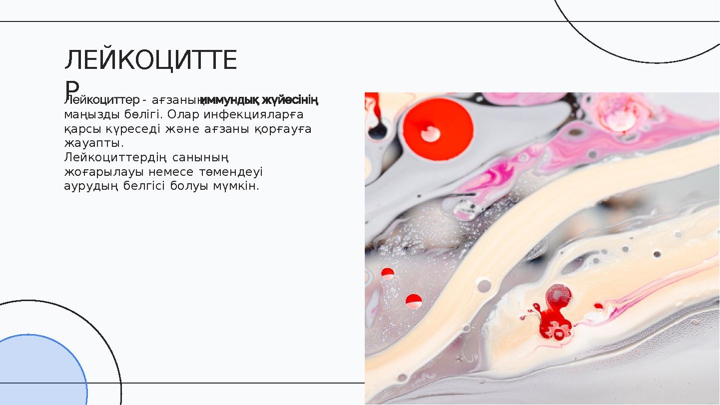 - ағзаның маңызды бөлігі. Олар инфекцияларға қарсы күреседі және ағзаны қорғауға жауапты. Лейкоциттердің санының жоғарылауы н