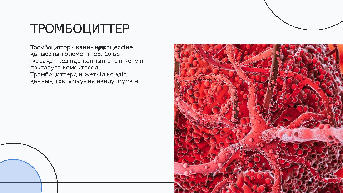 - қанныңпроцессіне қатысатын элементтер. Олар жарақат кезінде қанның ағып кетуін тоқтатуға көмектеседі. Тромбоциттердің жетк