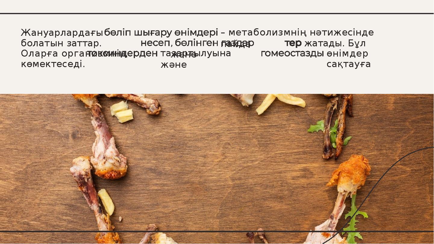 – метаболизмнің нәтижесінде пайда, жәнетазартылуына және жатады. Бұл өнімдер сақтауға Жануарлардағы болатын заттар. Оларға