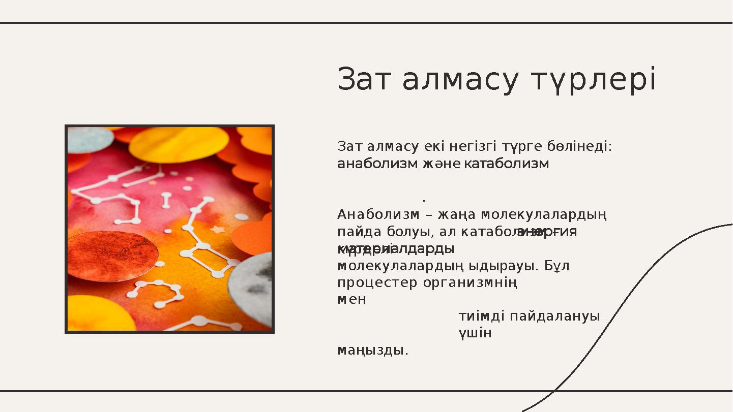 Зат алмасу екі негізгі түрге бөлінеді: және . Анаболизм – жаңа молекулалардың пайда болуы, ал катаболизм – күрделі молекулалар