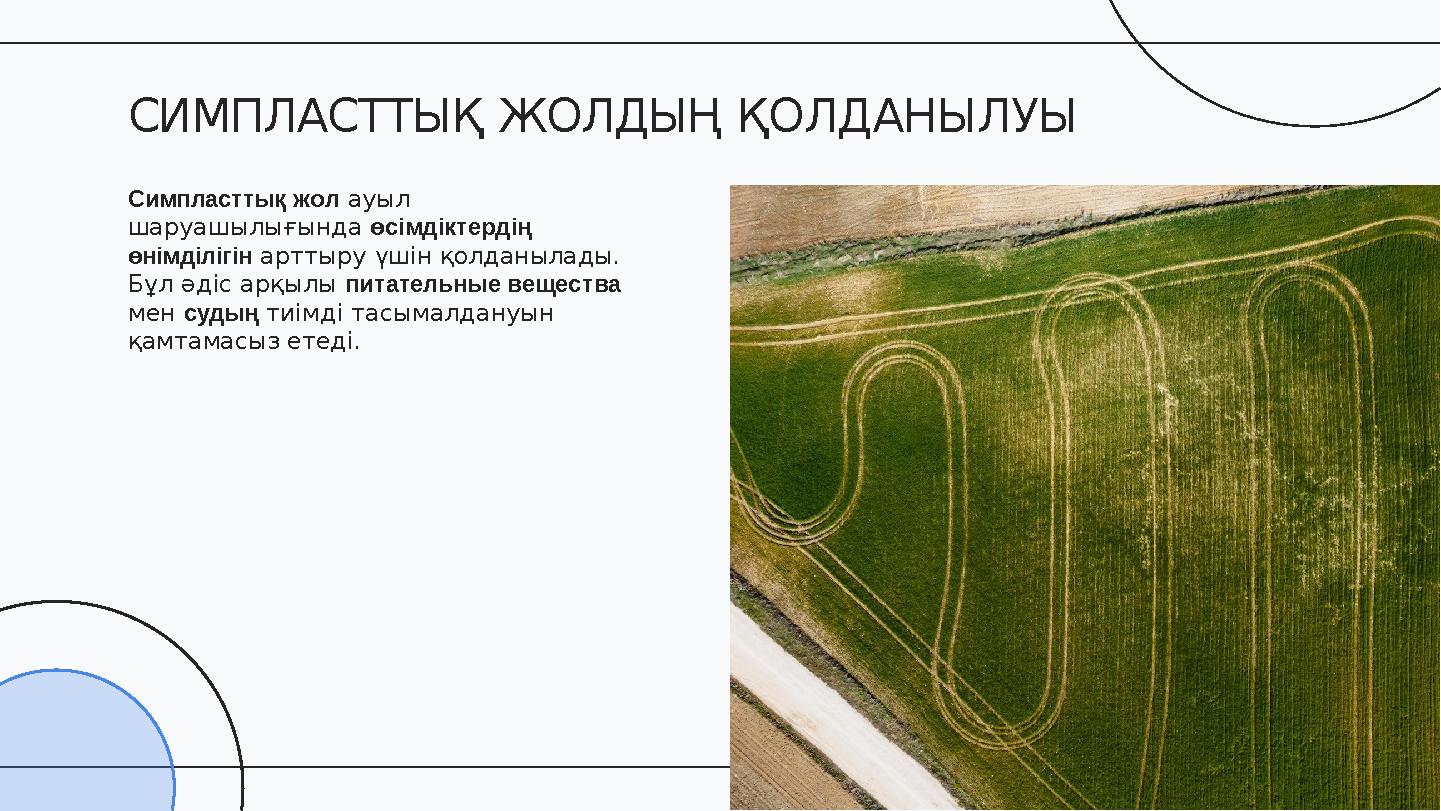 Симпласттық жол ауыл шаруашылығында өсімдіктердің өнімділігін арттыру үшін қолданылады. Бұл әдіс арқылы питательные вещества