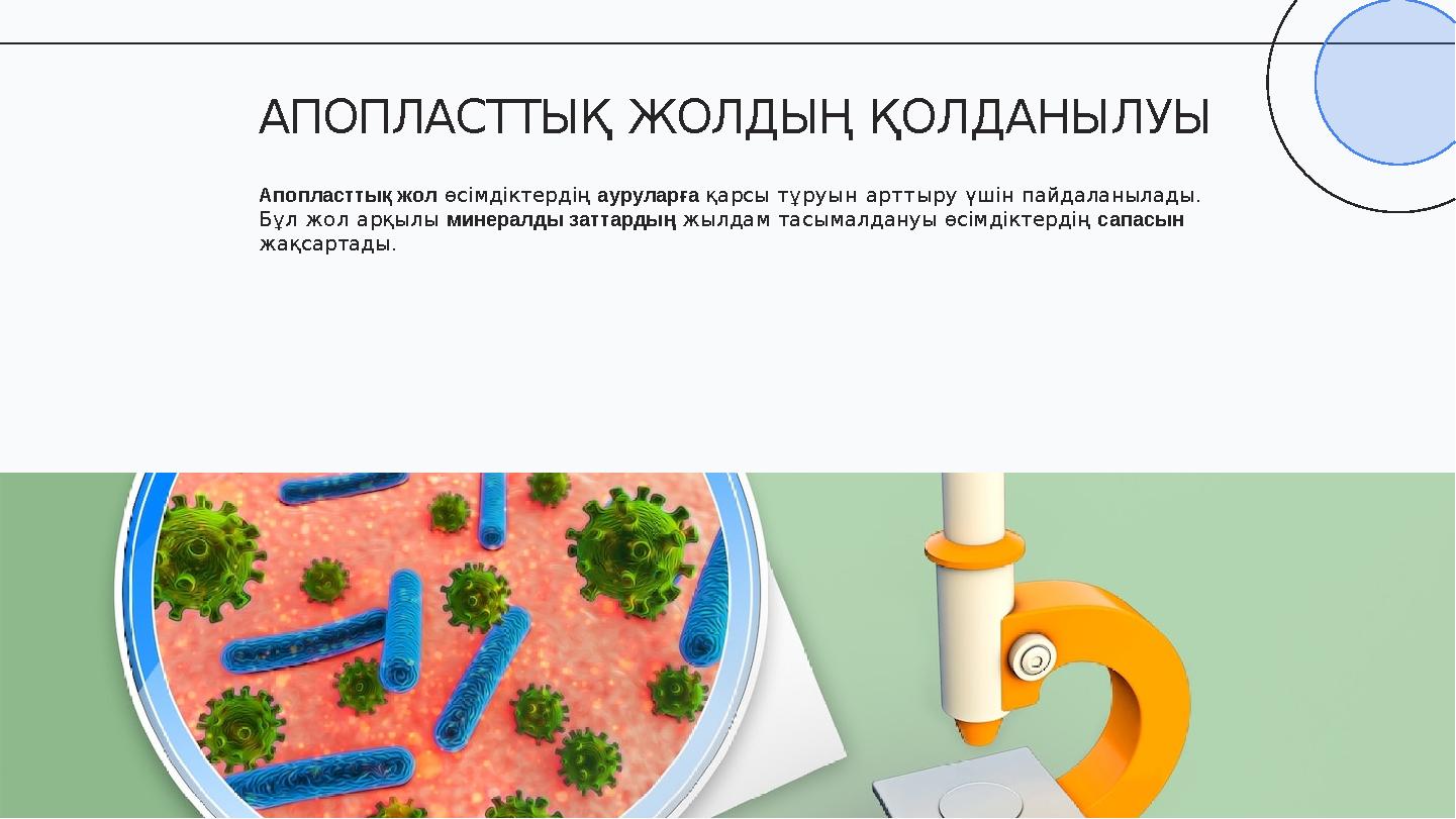 Апопласттық жол өсімдіктердің ауруларға қарсы тұруын арттыру үшін пайдаланылады. Бұл жол арқылы минералды заттардың жылдам тас