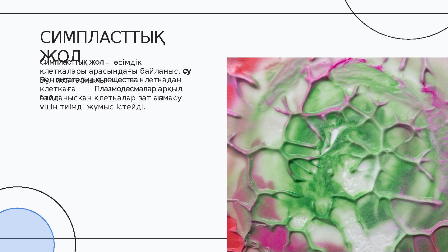 – өсімдік клеткалары арасындағы байланыс. Бұл жол арқылымен клеткаға өтеді. клеткадан арқыл ыбайланысқан клеткалар зат алмасу