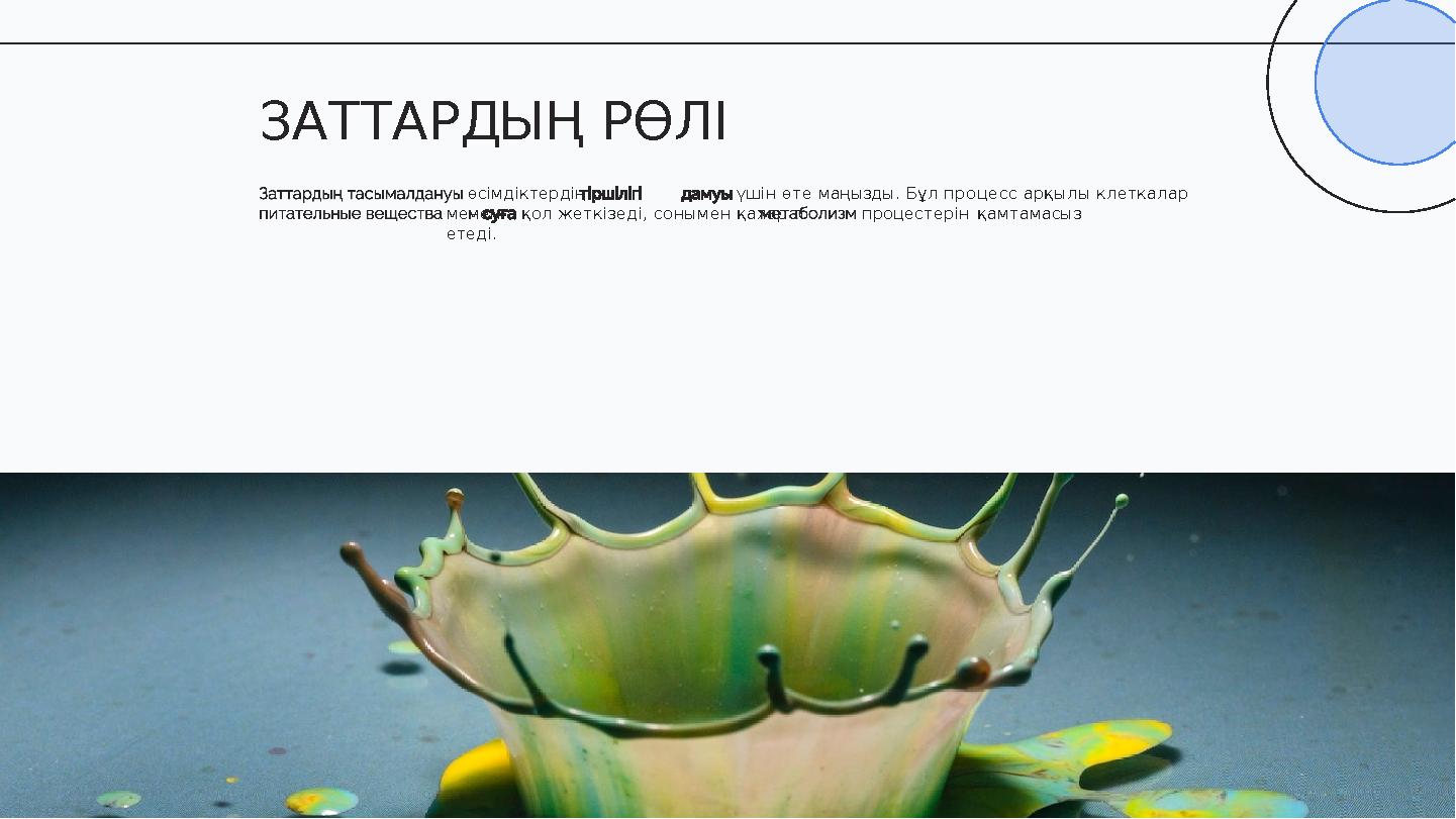 өсімдіктердің мен үшін өте маңызды. Бұл процесс арқылы клеткалар қажеттімен қол жеткізеді, сонымен қатар процестерін қамтамасыз